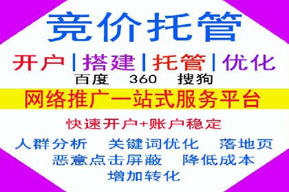 SEM服务公司助力企业增长案例
